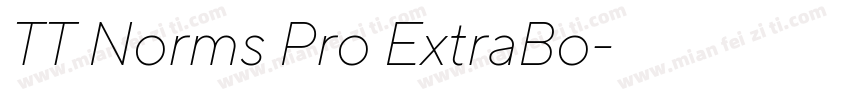 TT Norms Pro ExtraBo字体转换